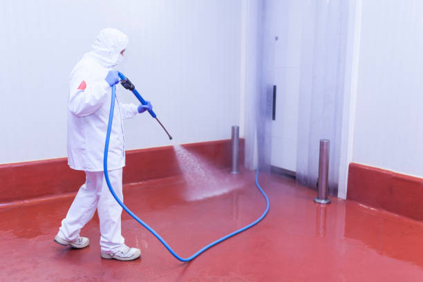 Best Spring Cleaning  in Kempner, TX